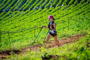 BIB: 
                            <button type="button" onclick="openModal(19161886)" class="btn btn-primary btn-sm float-right btn-popup" data-toggle="modal" data-target=".modal-high-quality">
                        <i class="fas fa-shopping-cart"></i> Add to Cart
                    </button>
                                            <button type="button" onclick="isThisMe(19161886, true)" class="btn btn-success btn-sm float-right btn-popup btn-isme hidden" data-toggle="tooltip" data-placement="bottom" title="นี่คือรูปของคุณใช่ไหม คลิกที่นี่เพื่อเอาเข้าอัลบั้ม">
                        <i class="fas fa-plus"></i> Add to album
                    </button>
                    <button type="button" onclick="isThisMe(19161886, false)" class="btn btn-warning btn-sm float-right btn-popup btn-isnotme hidden">
                        <i class="fas fa-ban"></i> Remove from album
                    </button>